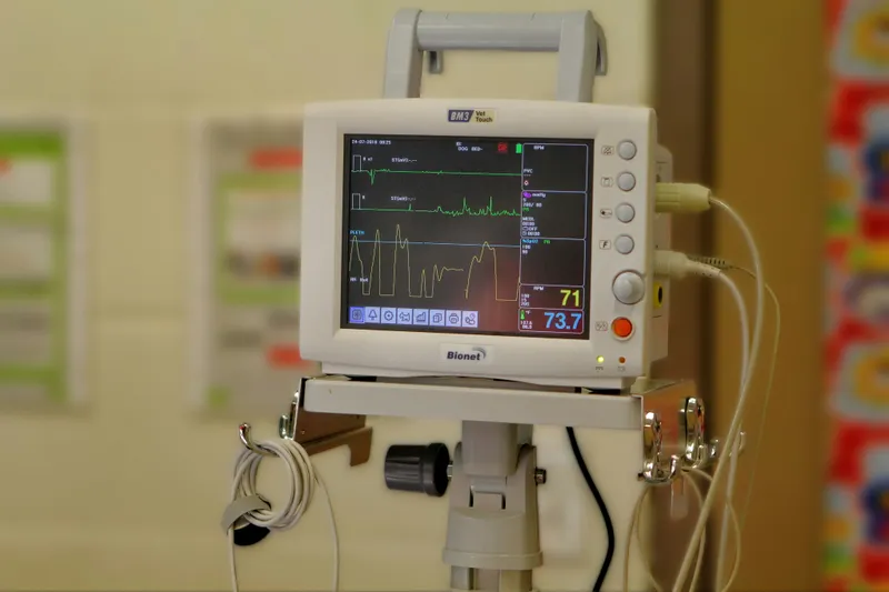 Diagnostic & Indicator Lighting